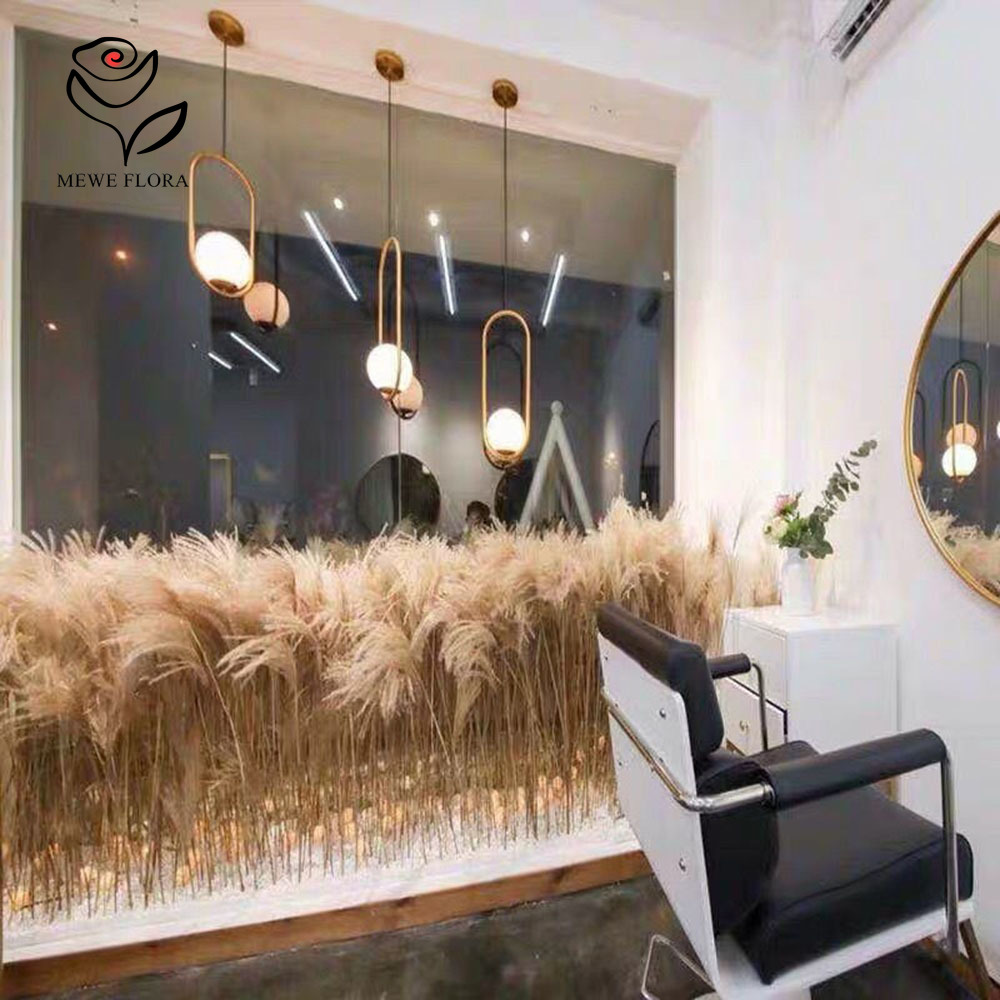 200PCS Natural Dried Fluffy Re - Quiet Luxury Lifestyle ulasan dan harga