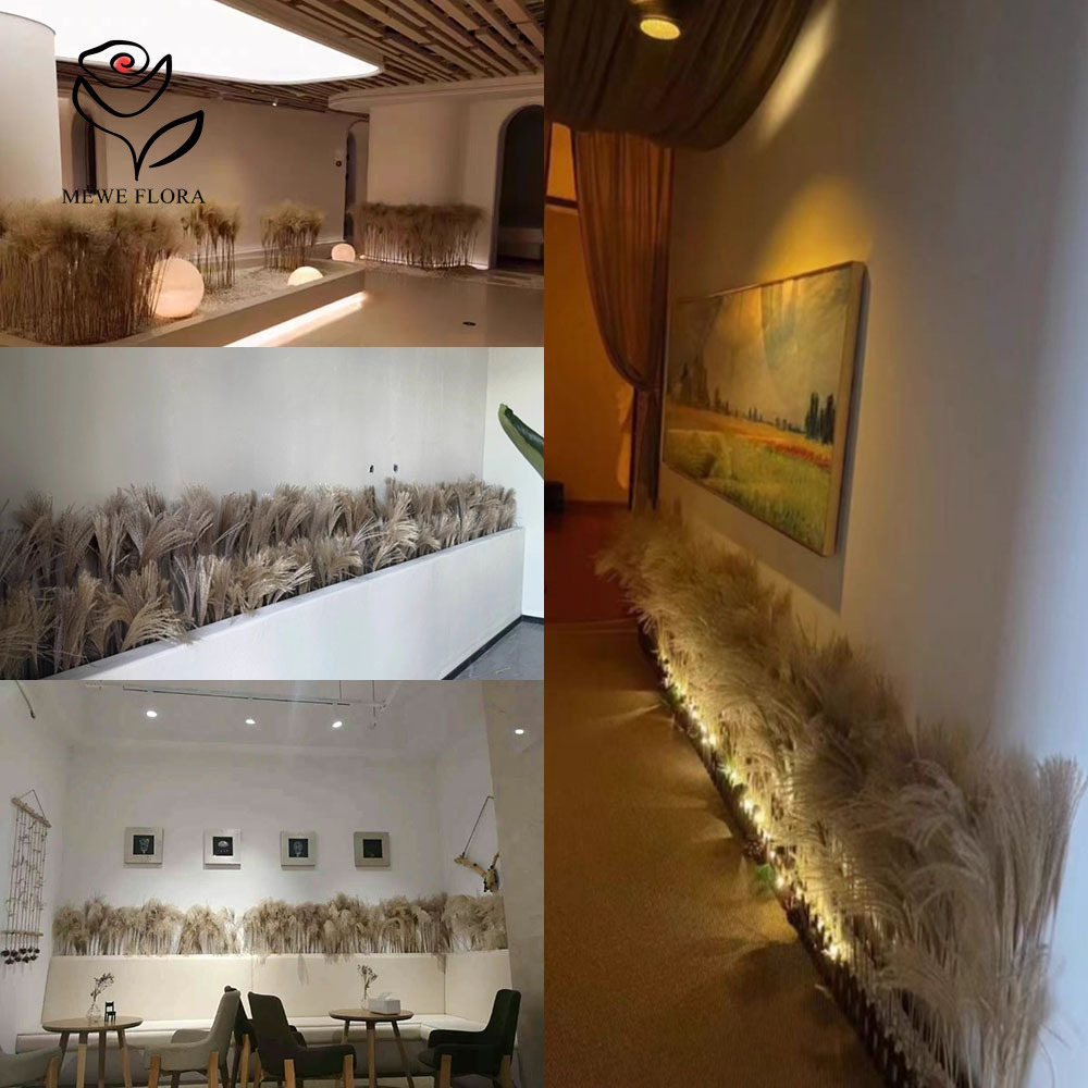 200PCS Natural Dried Fluffy Re - Quiet Luxury Lifestyle ulasan dan harga